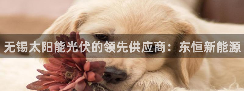sunbet手机网页版
