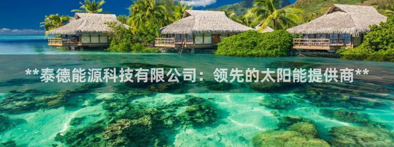 sunbet最新消息