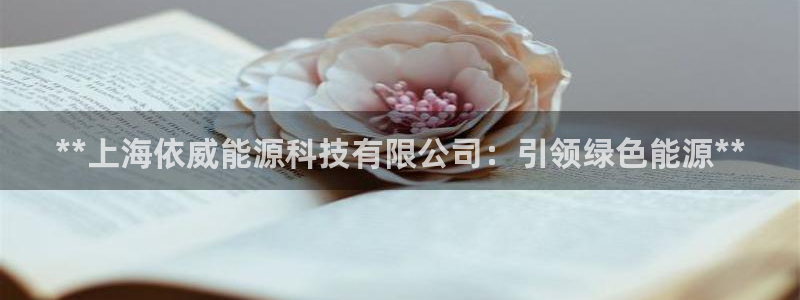 sunbet中文