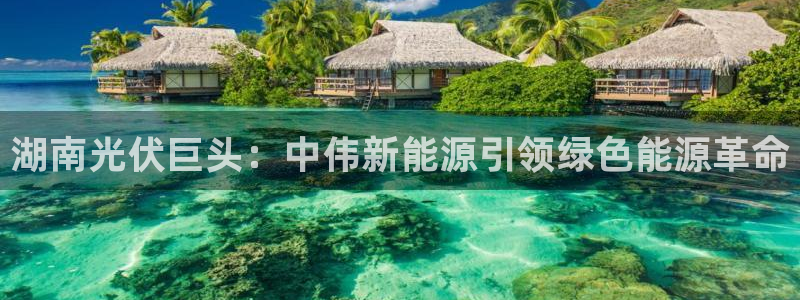 sunbet苹果官网下载
