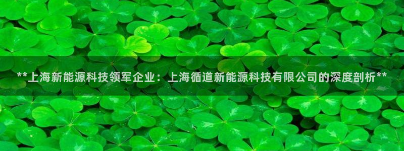 sunbet官网手机版登录