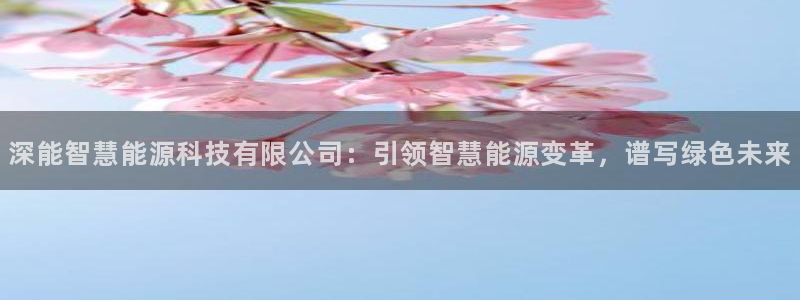 申博官网电脑版下载