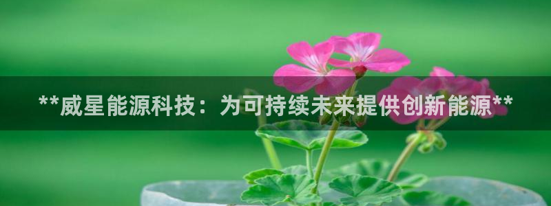 申博app下载