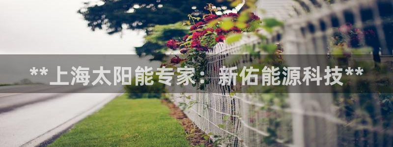 sunbet申搏地址