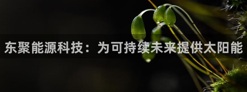 sunbet手机端