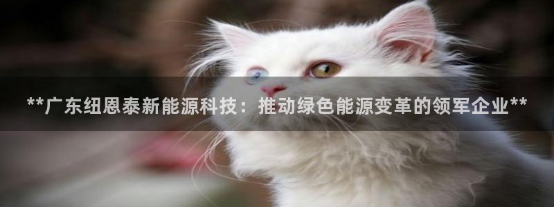 申博官网手机版下载app