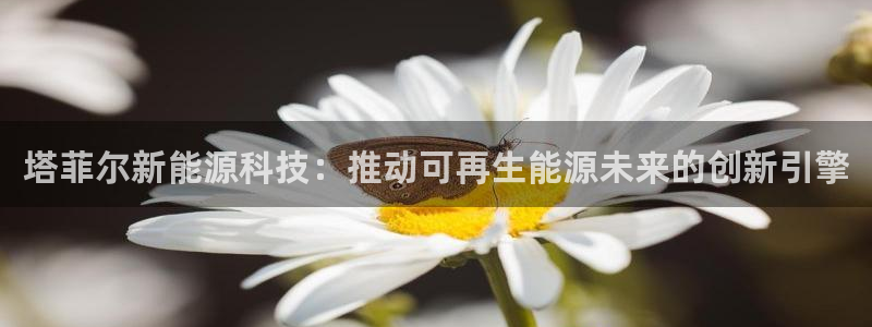 sunbet手机版官网下载