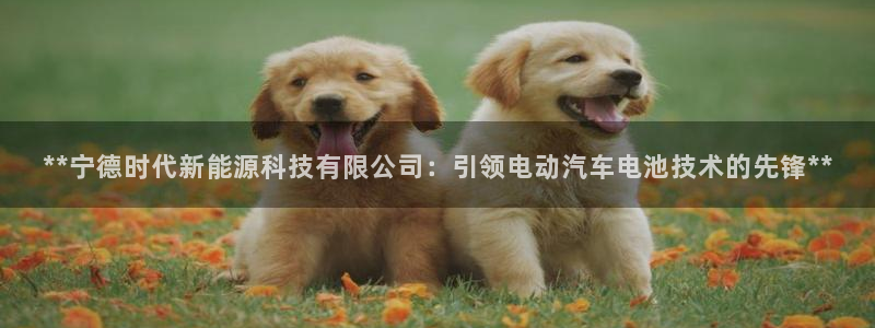 sunbet线上真人手机版