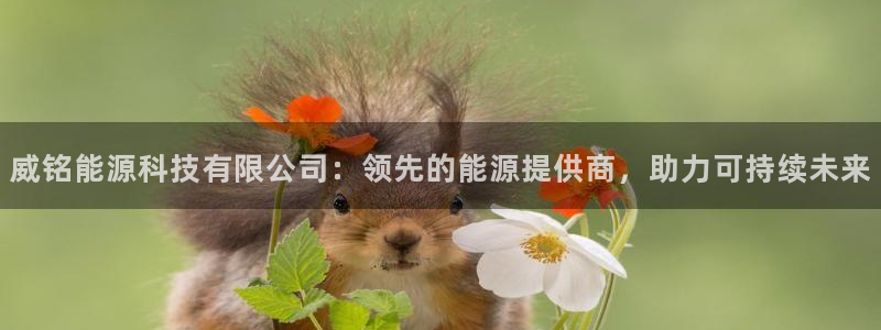 sunbet游戏