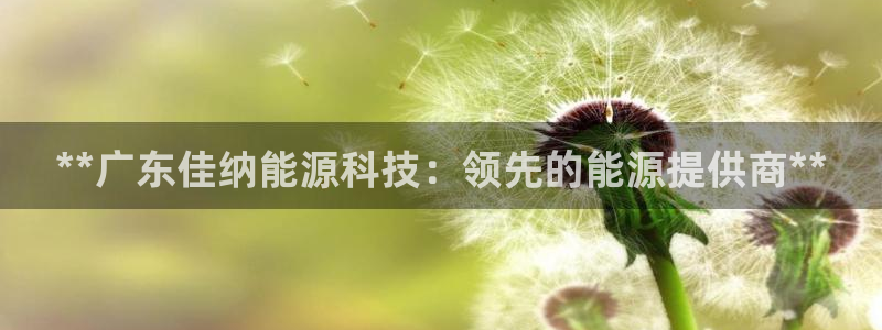 sunbet燃气灶