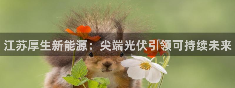 申慱sunbet网站
