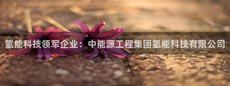 申慱sunbet版app