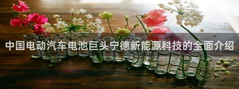 sunbet靠谱吗