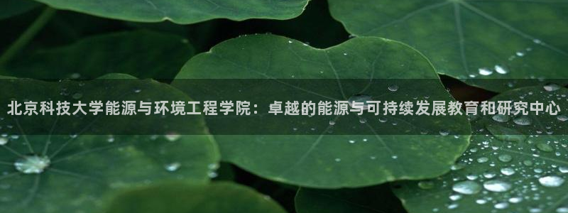 sunbet官网手机版登录