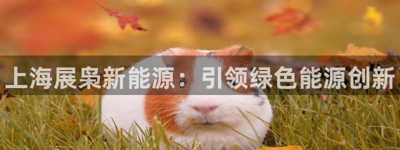 sunbet苹果官网下载