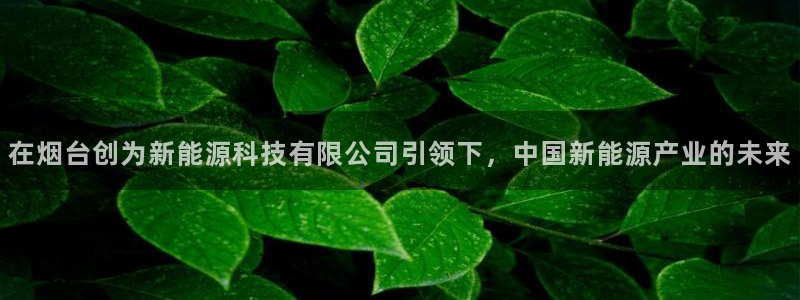 sunbet苹果app