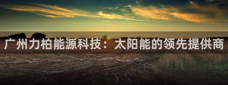 sunbet官网手机版