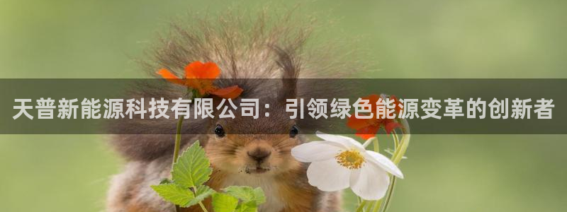 申慱sunbet版app