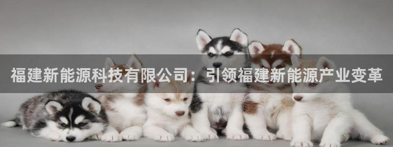 sunbet中文