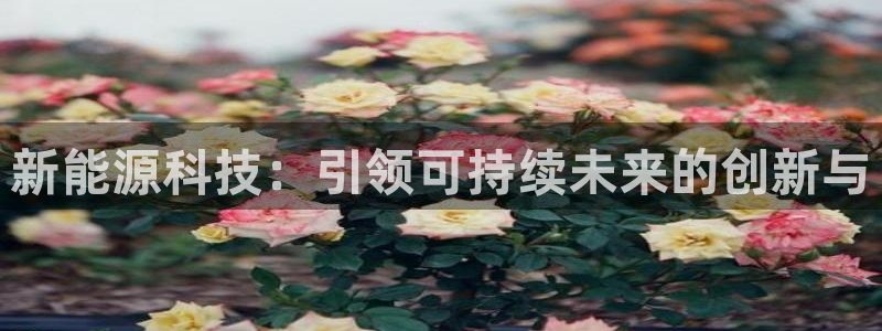 sunbet英语翻译