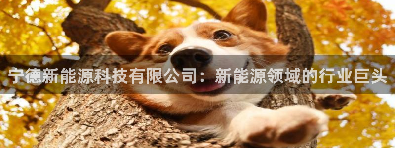 sunbet靠谱吗