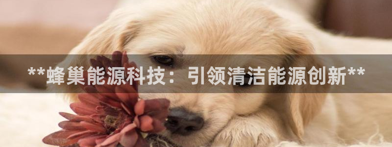 sunbet苹果app