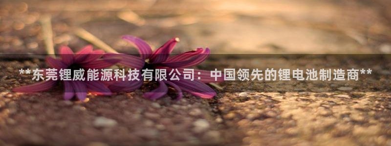 申博手机网站