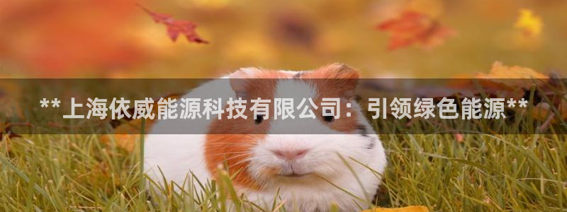 sunbet源码
