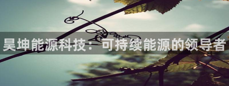 sunbet游戏地址