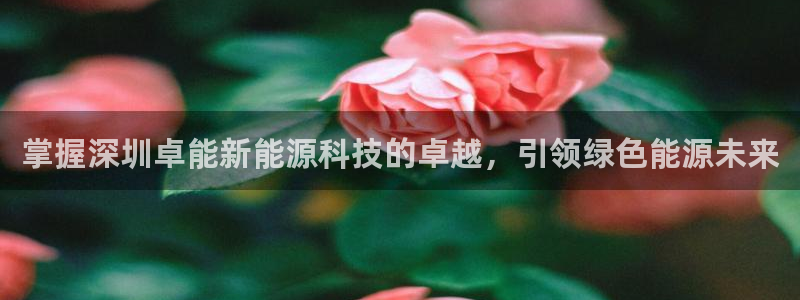 sunbet官网登录首页