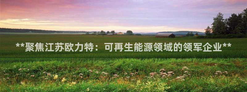 sunbet官网手机版