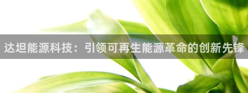 sunbet线上真人手机版