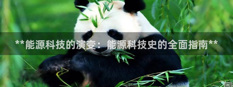 申博手机网站