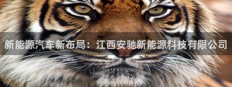 申博官方网址