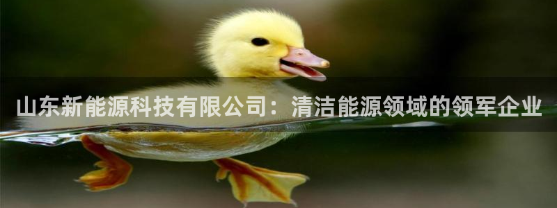 sunbet靠谱吗