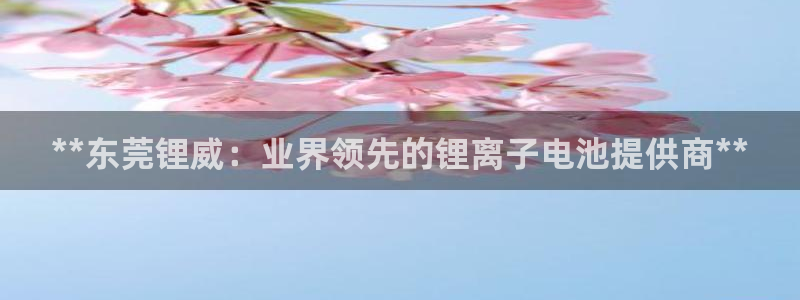 sunbet手机端