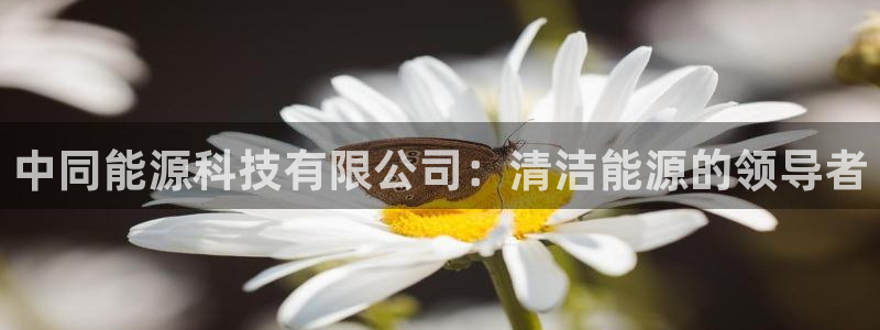 sunbet手机端