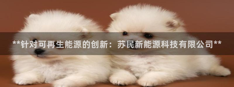 sunbet申搏app下载