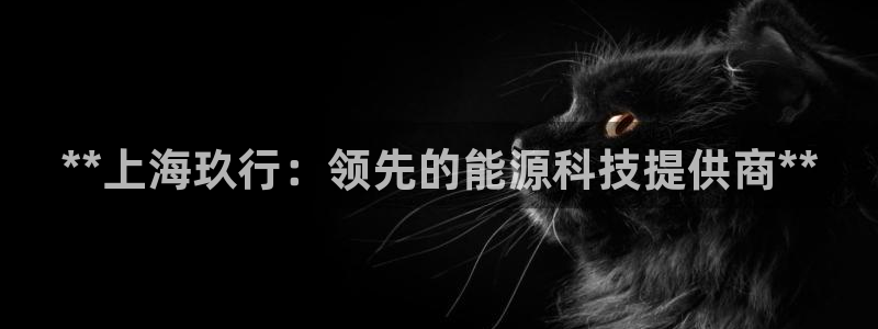 sunbet燃气灶