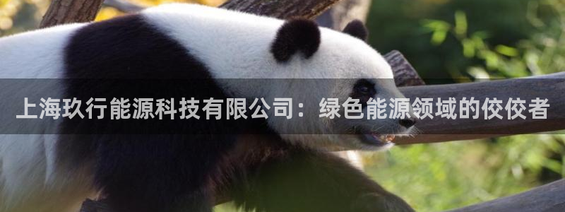 申博app下载