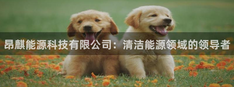 sunbet申搏官网