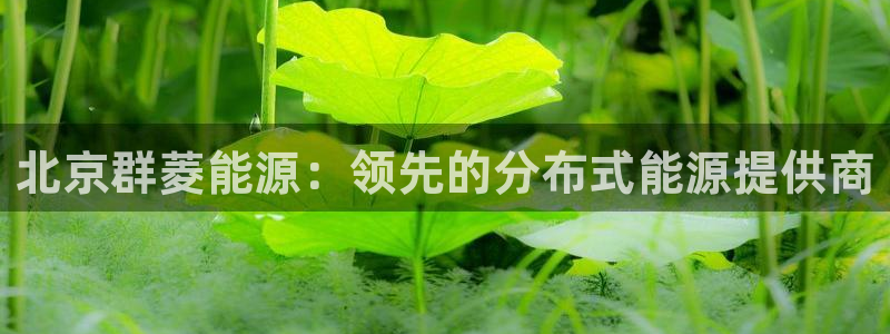申博手机版官网