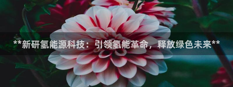 sunbet手机网页版本