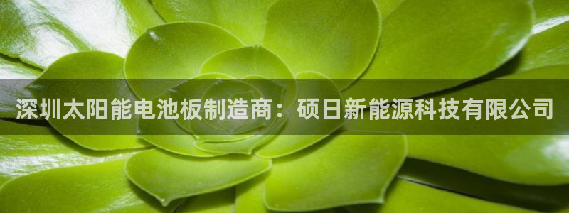sunbet游戏
