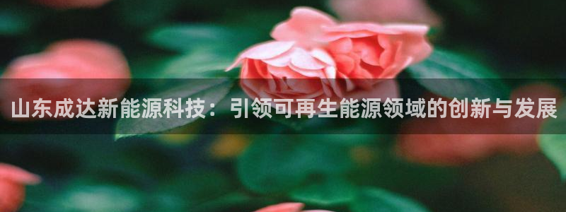 sunbet手机app版
