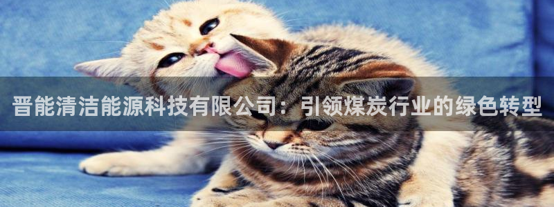 sunbet中国官网