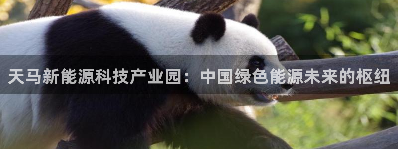 sunbet源码