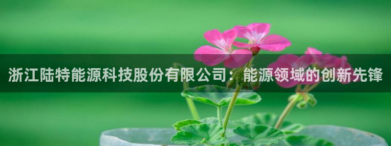 申博手机版app下载