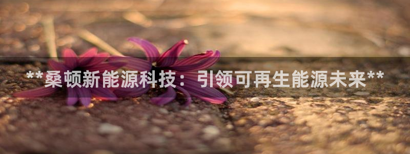 sunbet手机app版