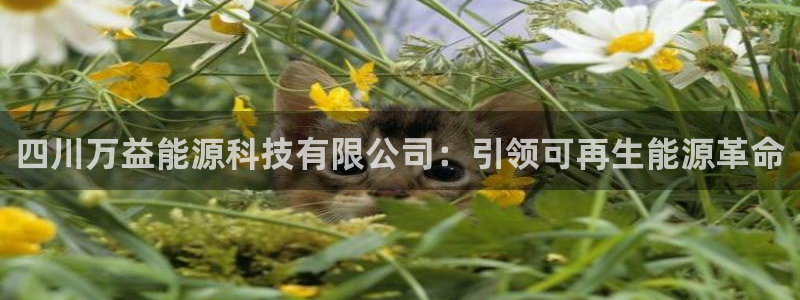 sunbet游戏官网